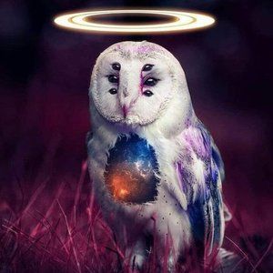 🦉 WISE OLD OWL & MY CLOSET - THANK YOU! 🦉